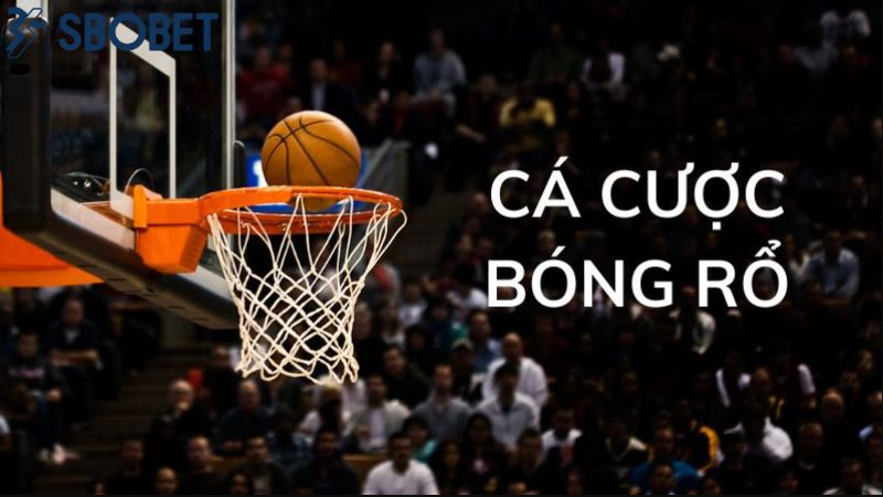 Cá Cược Bóng rổ Sbobet