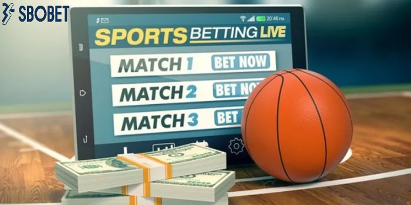 Tính tiền thưởng cá cược bóng rổ Sbobet chính xác